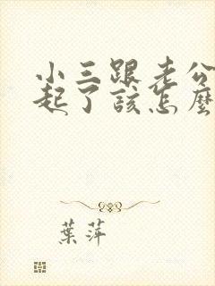 小三跟老公住一起了该怎么解决