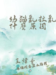 幼猫乱拉乱尿是什么原因