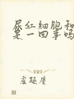 尿红细胞和潜血是一回事吗