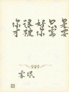 你很好只是偶尔才被你需要歌词