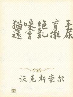 猫咪绝育手术后还会乱撒尿怎么办