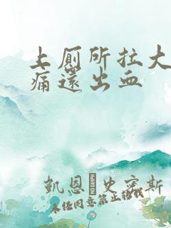 上厕所拉大便又痛还出血