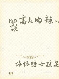 np高h肉辣小说