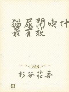 猫尿闭吃什么药最有效