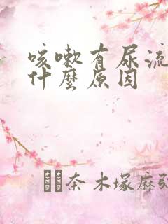 咳嗽有尿流出是什么原因