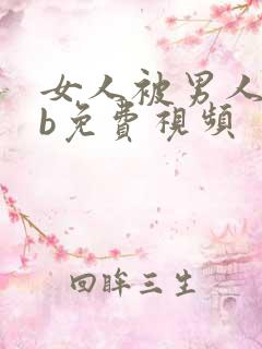 女人被男人插bb免费视频