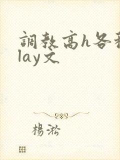调教高h各种play文