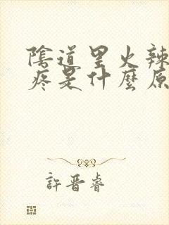 阴道里火辣辣的疼是什么原因