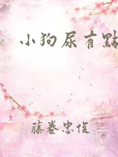 小狗尿有点黄