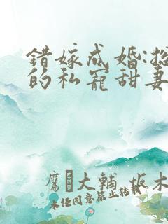 错嫁成婚:总裁的私宠甜妻