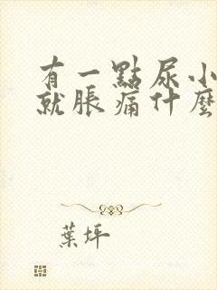 有一点尿小肚子就胀痛什么原因