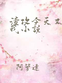 渣攻今天又渣了我小说