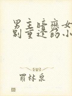 男主暗恋女主久别重逢的小说