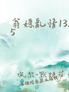 翁媳乱情13.5