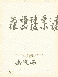 先婚后爱:老公很凶猛小说免费阅读全文