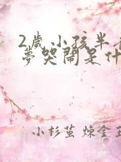 2岁小孩半夜做梦哭闹是什么原因