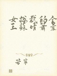 女总裁的全能兵王苏晴萧晨