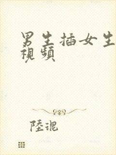 男生插女生下身视频