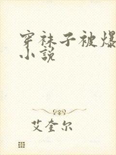 穿袜子被爆艹的小说