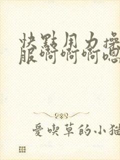 快点用力操好舒服啊啊啊嗯嗯