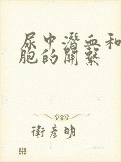 尿中潜血和红细胞的关系