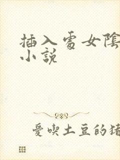 插入处女阴道的小说