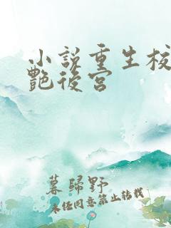 小说重生校园猎艳后宫