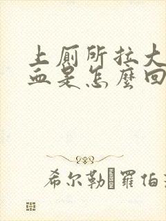 上厕所拉大便有血是怎么回事