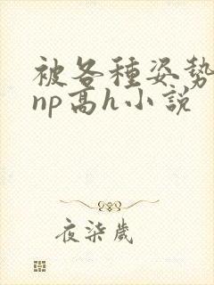 被各种姿势玩弄np高h小说