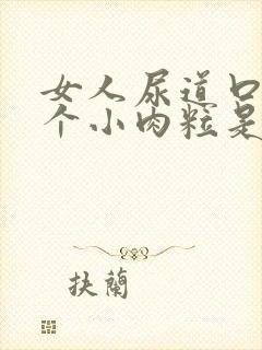 女人尿道口上长个小肉粒是怎么回事