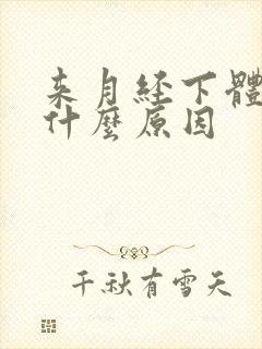 来月经下体刺痛什么原因