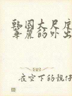 韩国大尺度电影华丽的外出