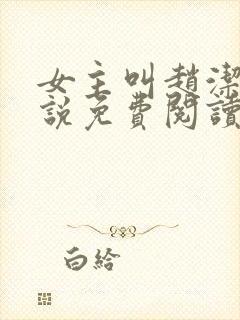 女主叫赵洁的小说免费阅读