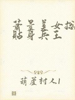 萧晨美女总裁的贴身兵王