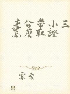 老公带小三回家怎么取证