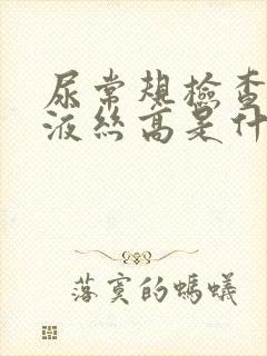 尿常规检查的粘液丝高是什么原因