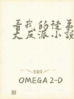 看我的徒弟都是大反派小说