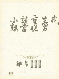 小说重生我真没想当暖男