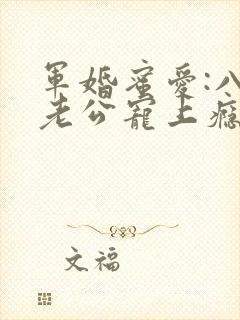 军婚蜜爱:八零老公宠上瘾大结局