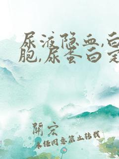 尿液隐血,白细胞,尿蛋白定性偏高