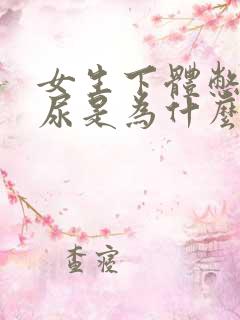 女生下体憋不住尿是为什么