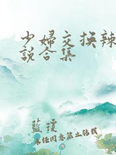 少妇交换辣文小说合集
