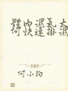 体内湿气太重如何快速排湿