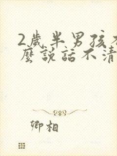 2岁半男孩不怎么说话不清楚