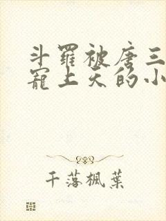 斗罗被唐三哥哥宠上天的小说