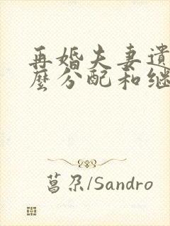 再婚夫妻遗产怎么分配和继承分割