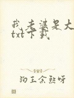 我老婆是大明星txt下载