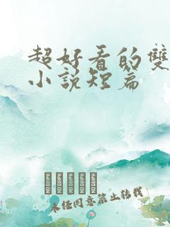 超好看的双男主小说短篇