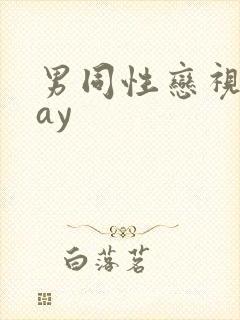 男同性恋视频gay