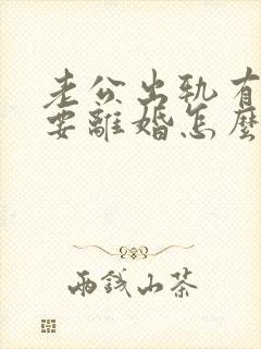 老公出轨有外遇要离婚怎么办